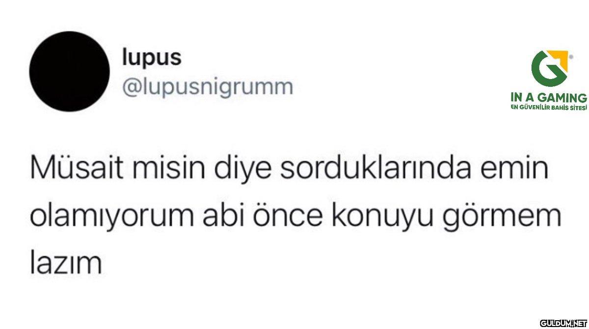 lupus @lupusnigrumm G IN A...