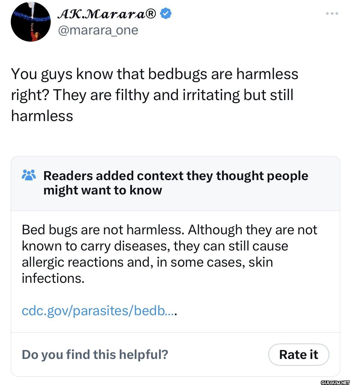 Did a bedbug tweet this?  ...