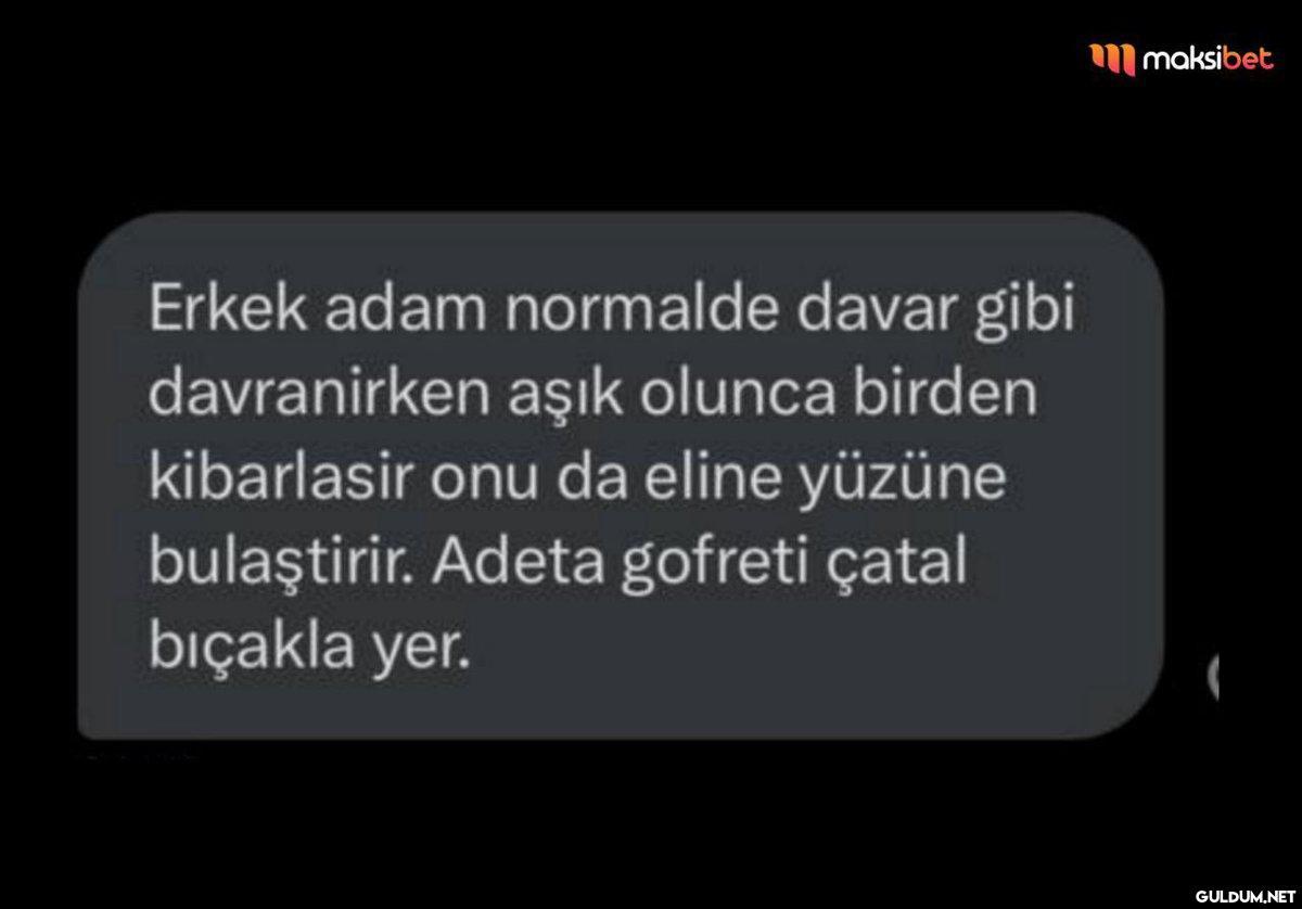 Erkek adam normalde davar...