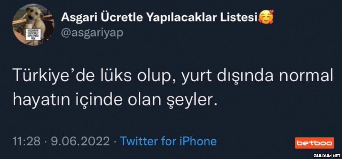 menşınlayalım...