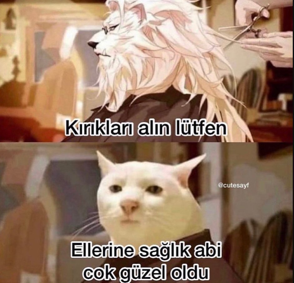 https://t.co/LZFjkVroyN  ...