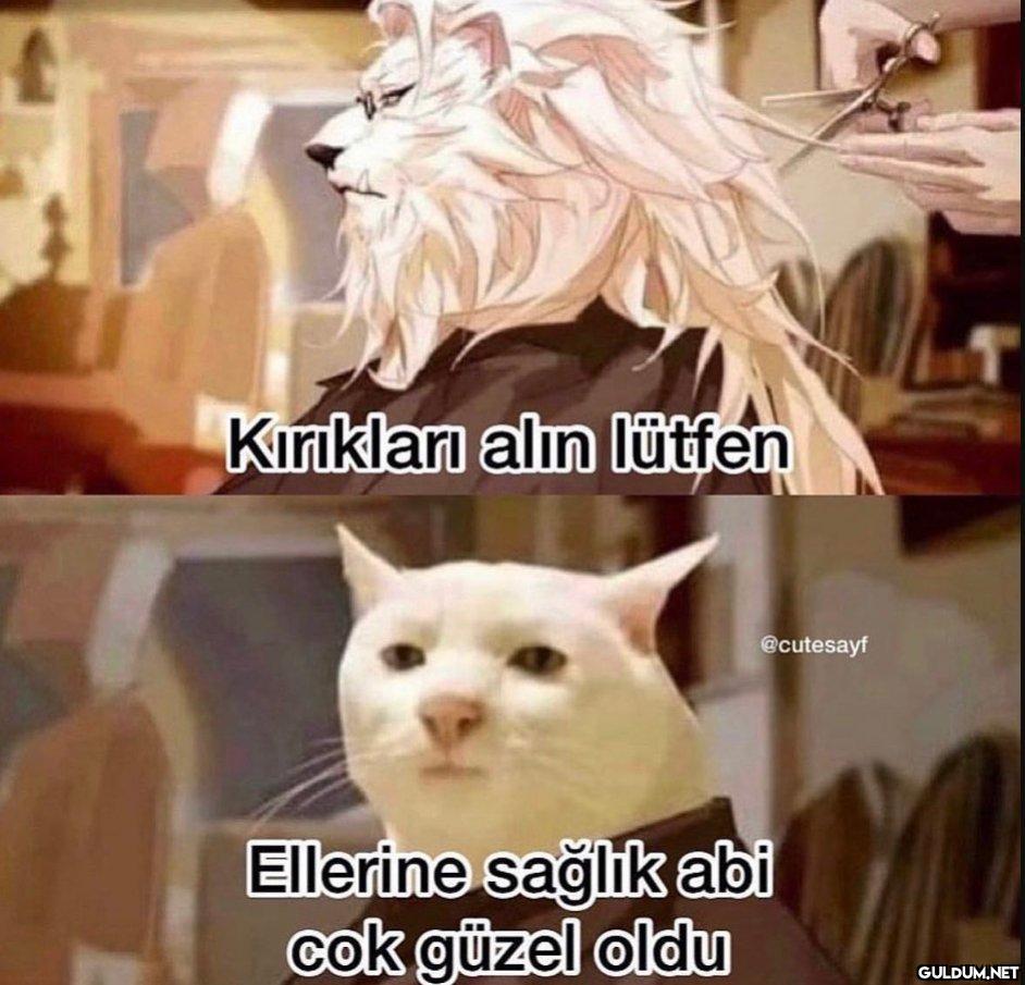 https://t.co/LZFjkVroyN  ...