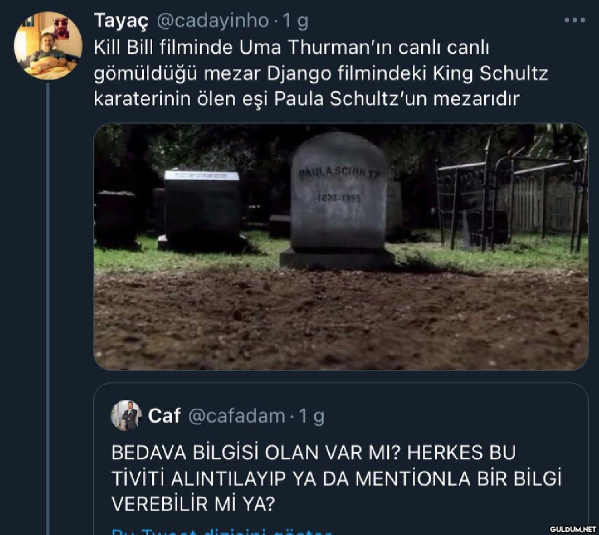 bedava bilgiler menşına...
