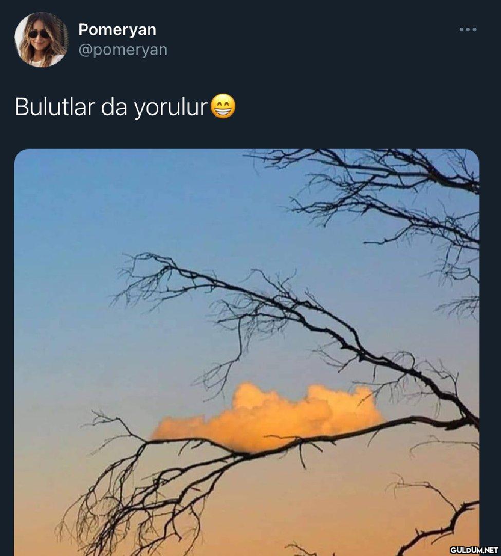 Pomeryan @pomeryan...