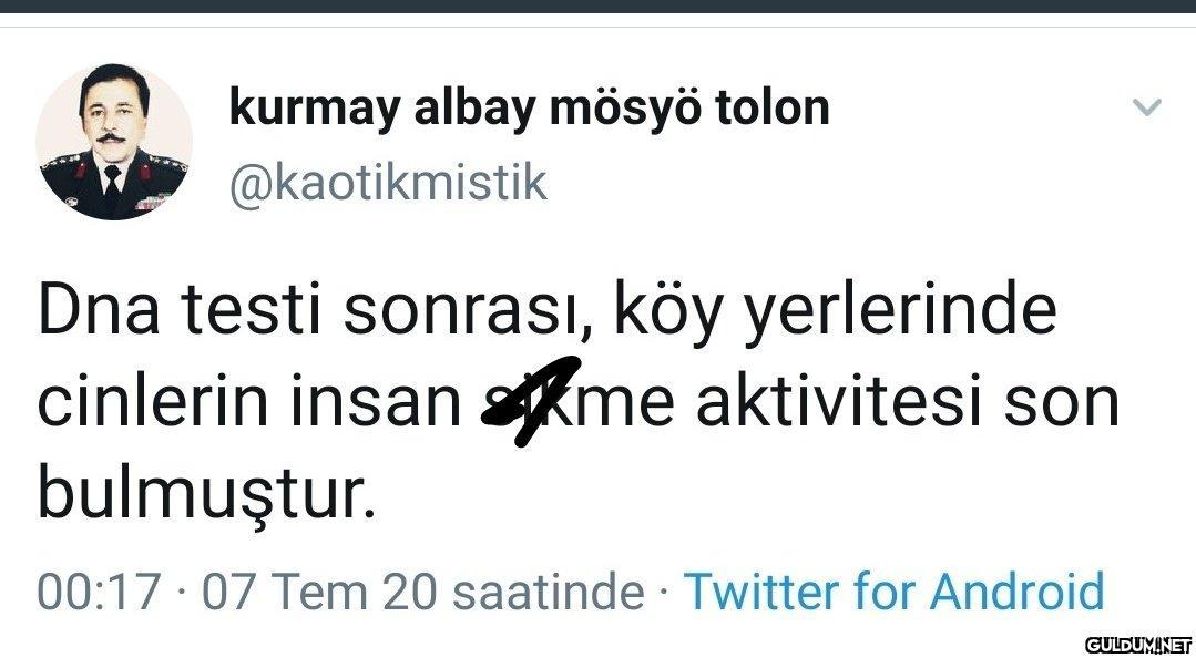 kurmay albay mösyö tolon...