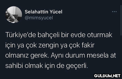 Selahattin Yücel...