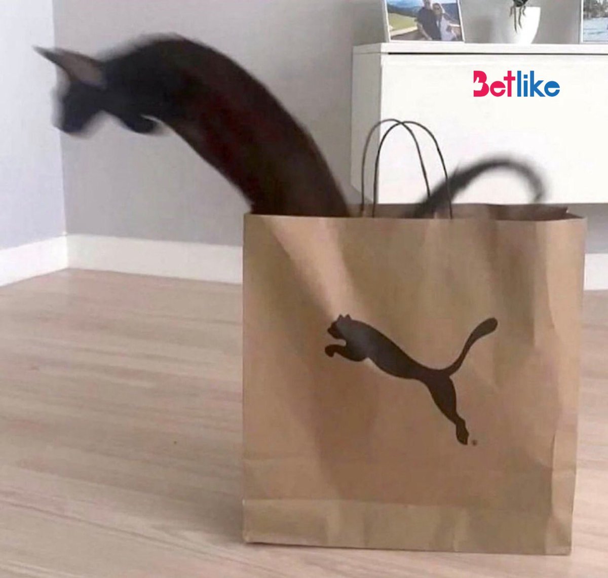 Denk gelişler...