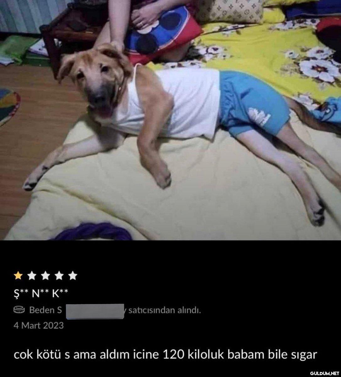 https://t.co/vocoQ9xaKf  ...