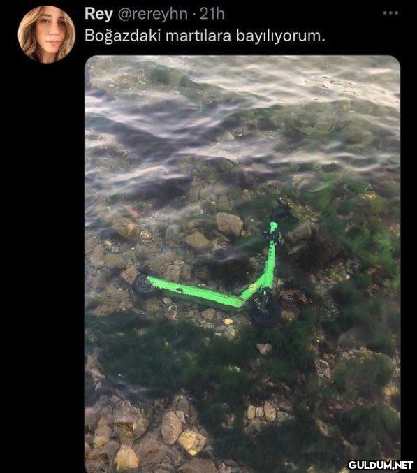 Rey @rereyhn-21h Boğazdaki...