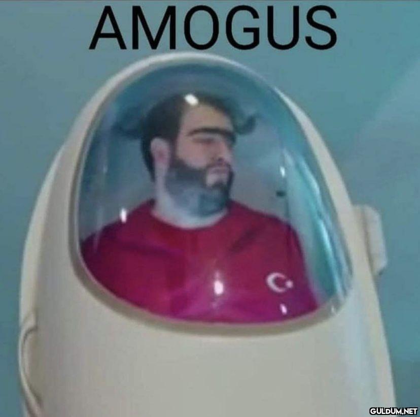 AMOGUS G   Kaynak
