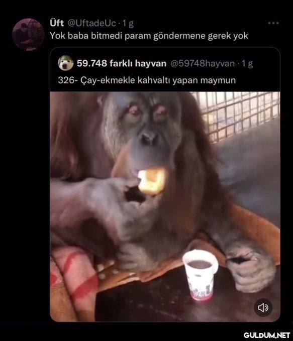 https://t.co/kbhr8JjRH7  ...