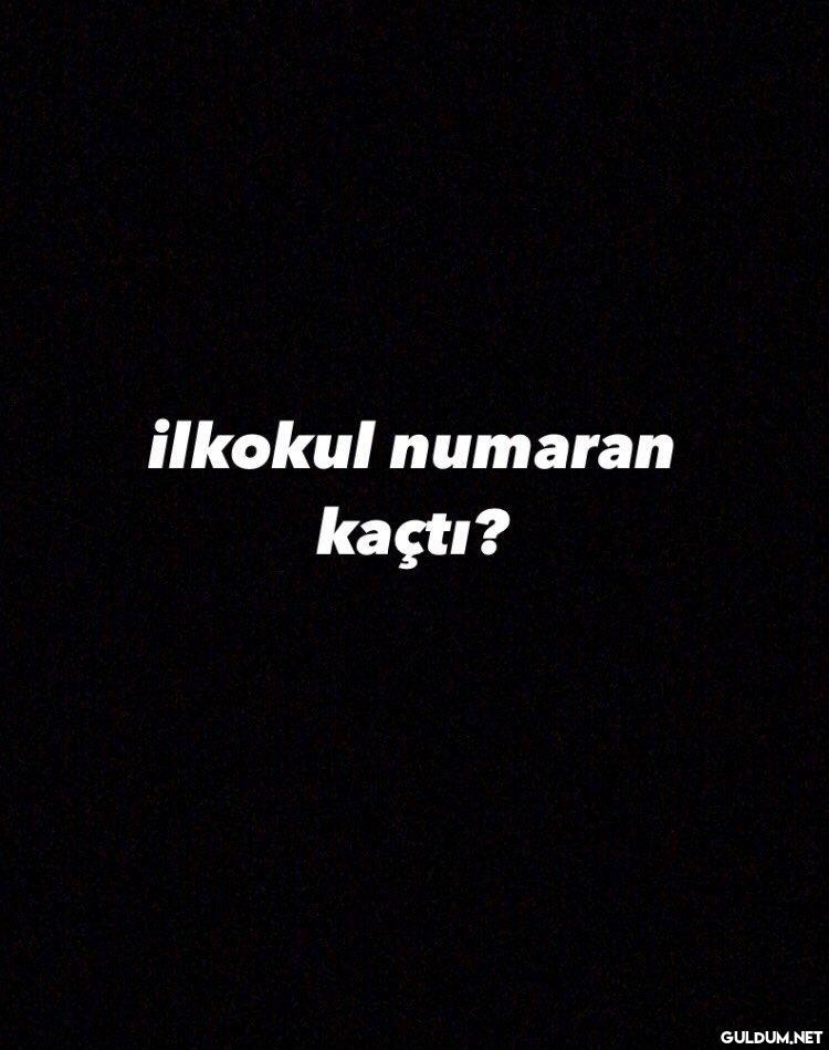 ilkokul numaran kaçtı?...