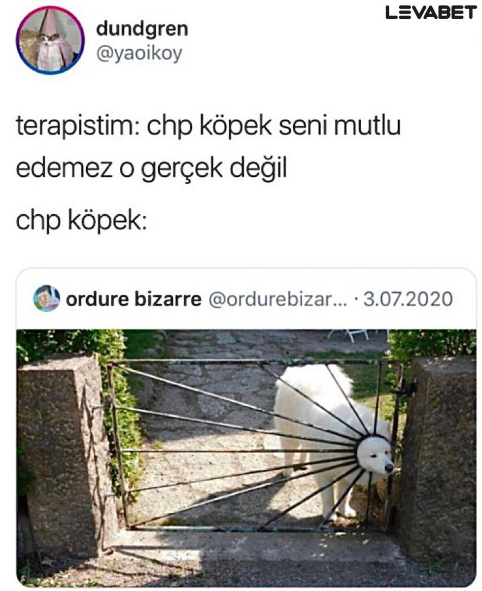 https://t.co/fH18DLaZL2  ...