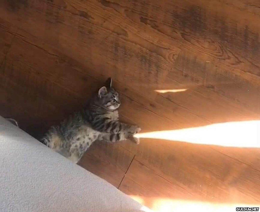 Günaydın...