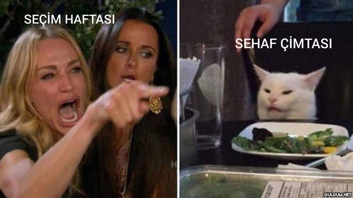 SE HAF ÇİM TASI...