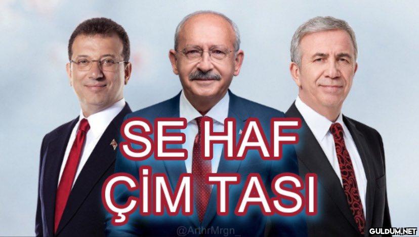 SE HAF ÇİM TASI...