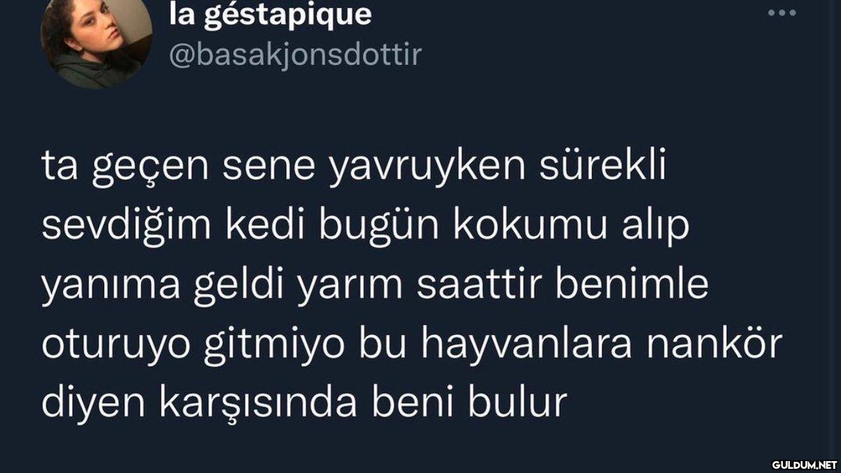 la géstapique...