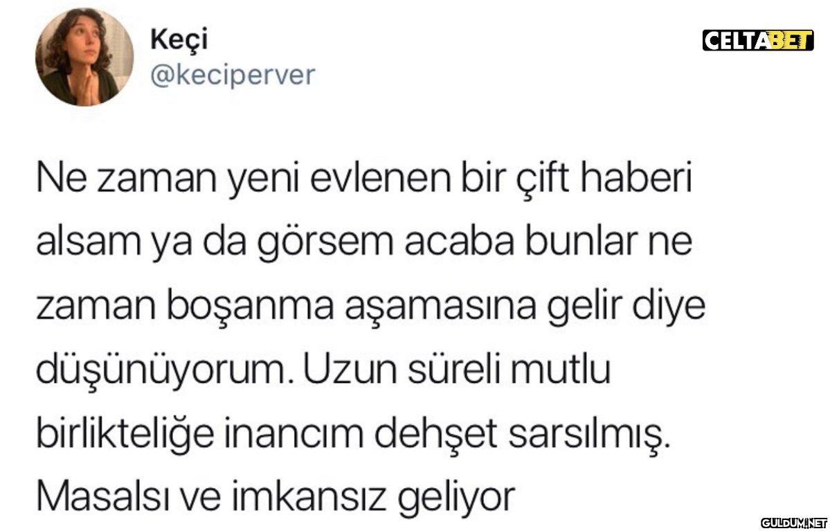 Keçi @keciperver CELTABET...