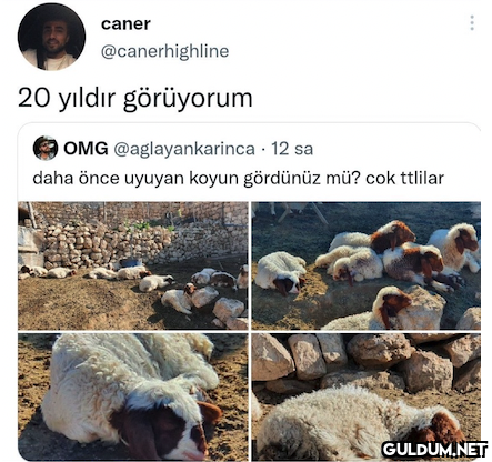 caner @canerhighline 20...