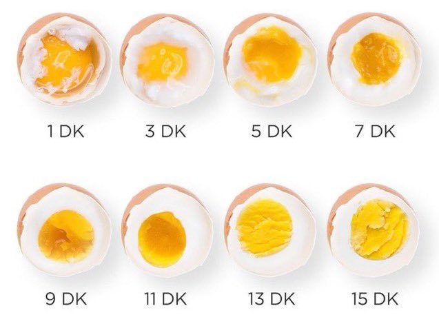yumurtanın hangi halini...