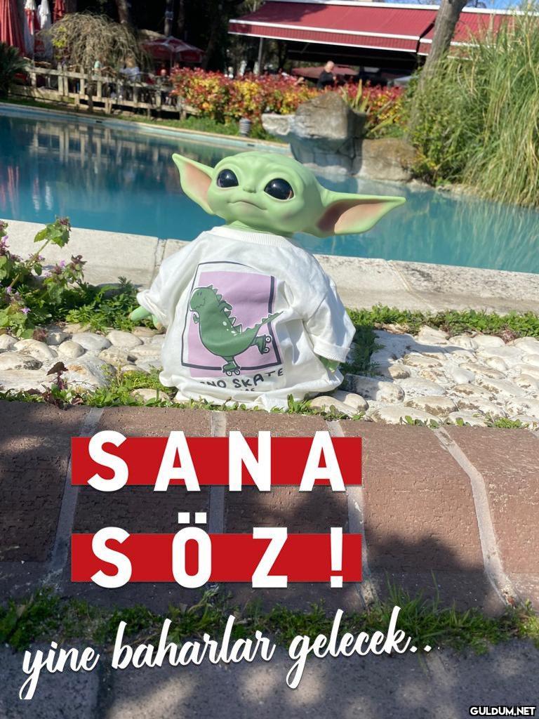 @satrayni...
