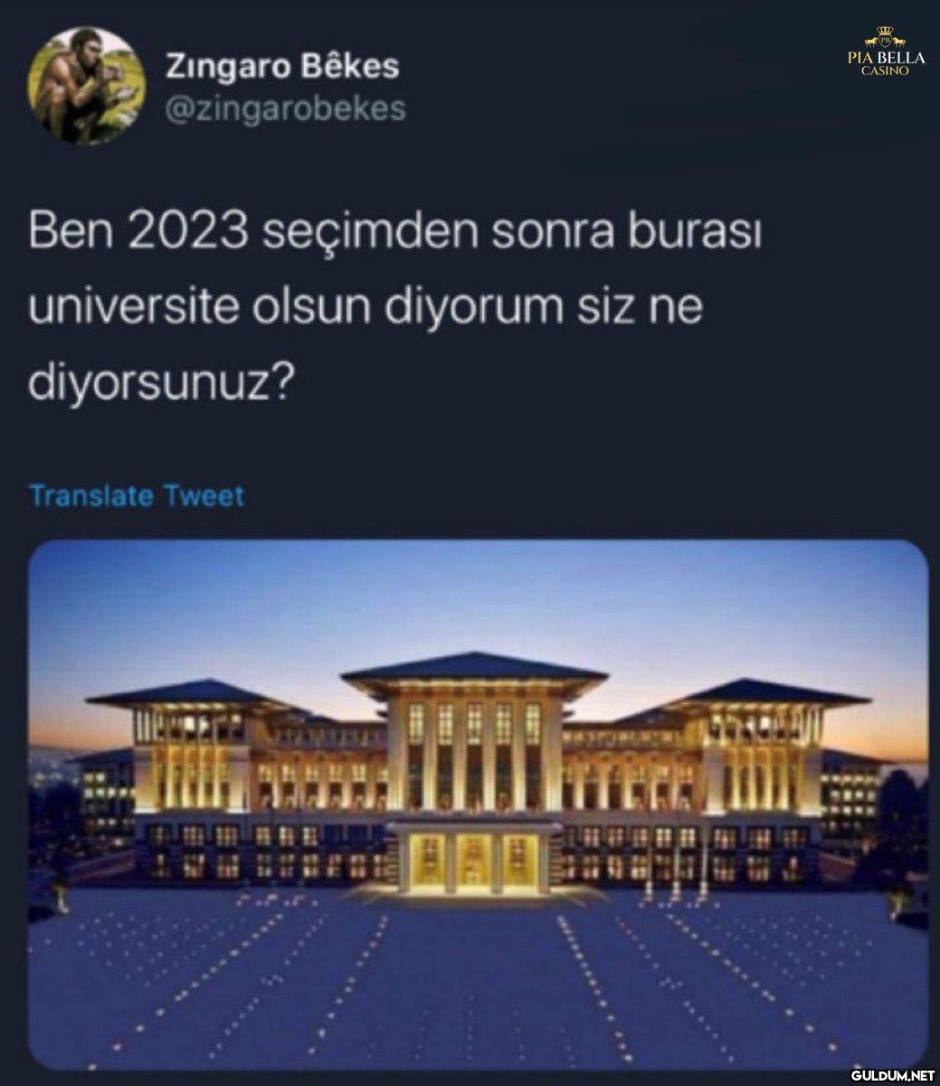 Zingaro Bêkes...