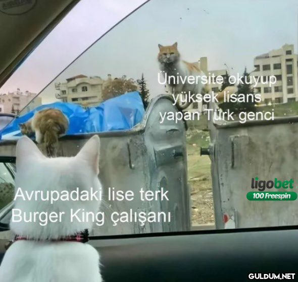Universite okuyup yüksek...