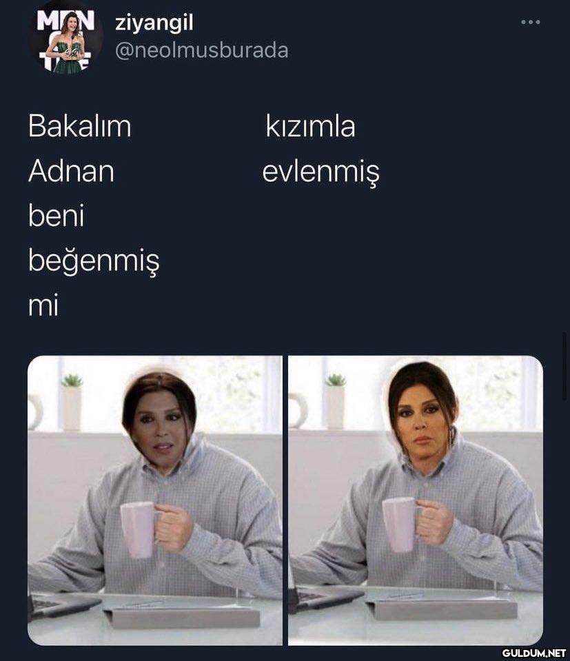 MON ziyangil...