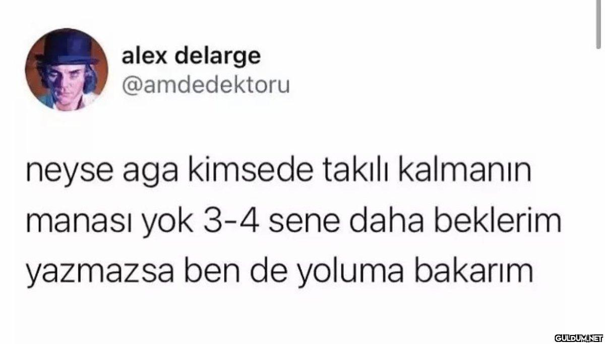 alex delarge @amdedektoru...