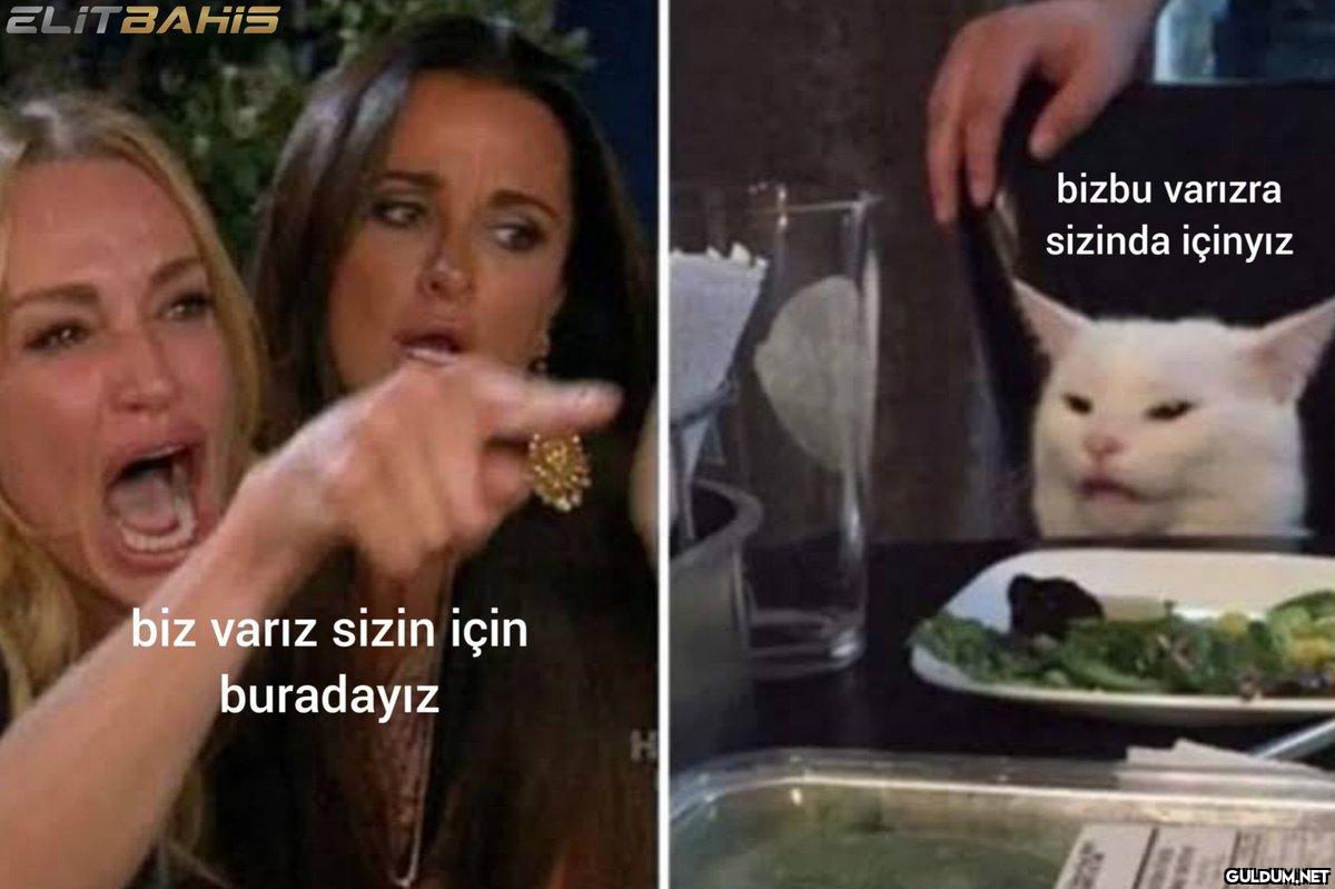 https://t.co/OGBujMPi0n  ...
