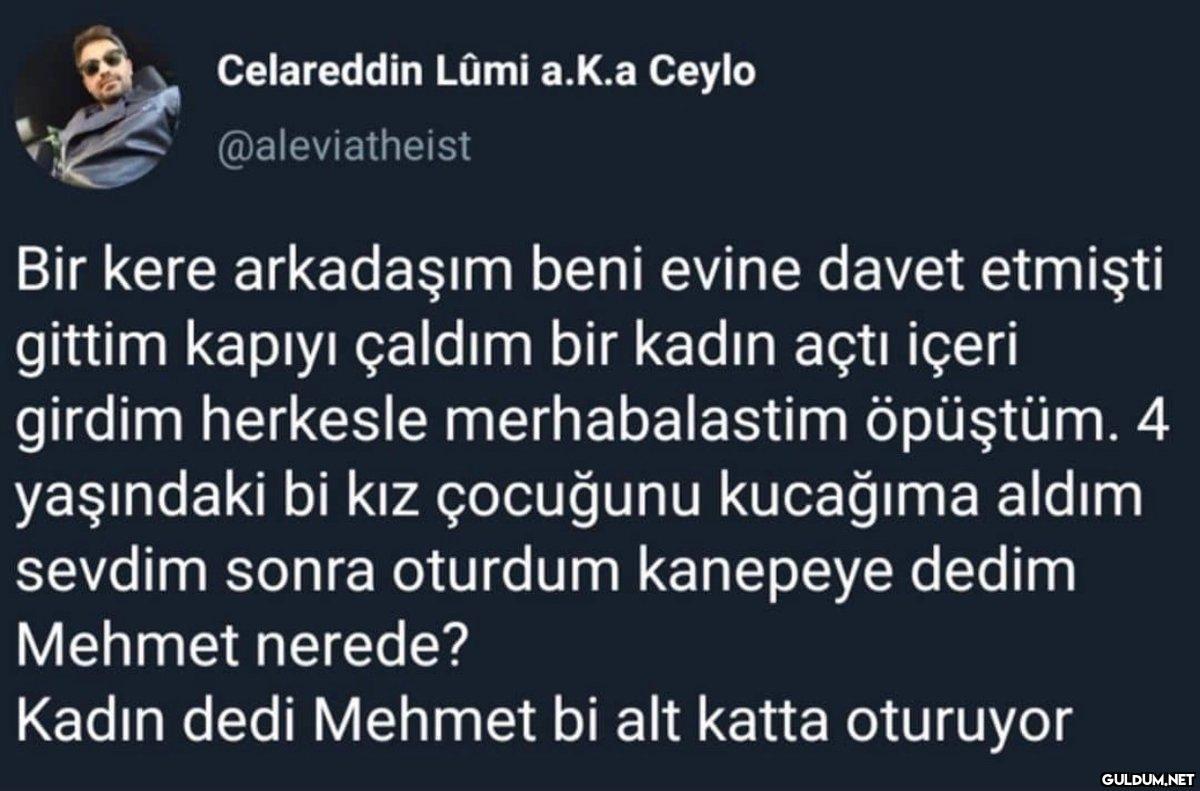 Celareddin Lûmi a.k.a...