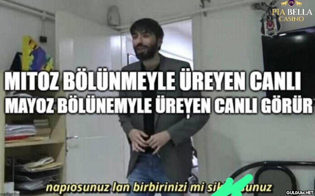 PIA BELLA CASINO MITOZ...