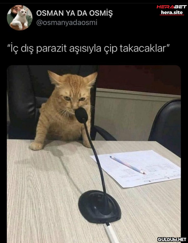 HERABET hera.site OSMAN YA...