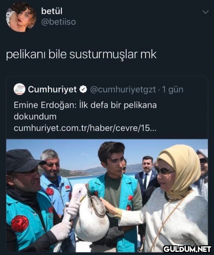 betül @betiiso pelikani...