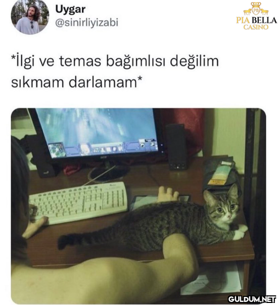 Uygar @sinirliyizabi *İlgi...