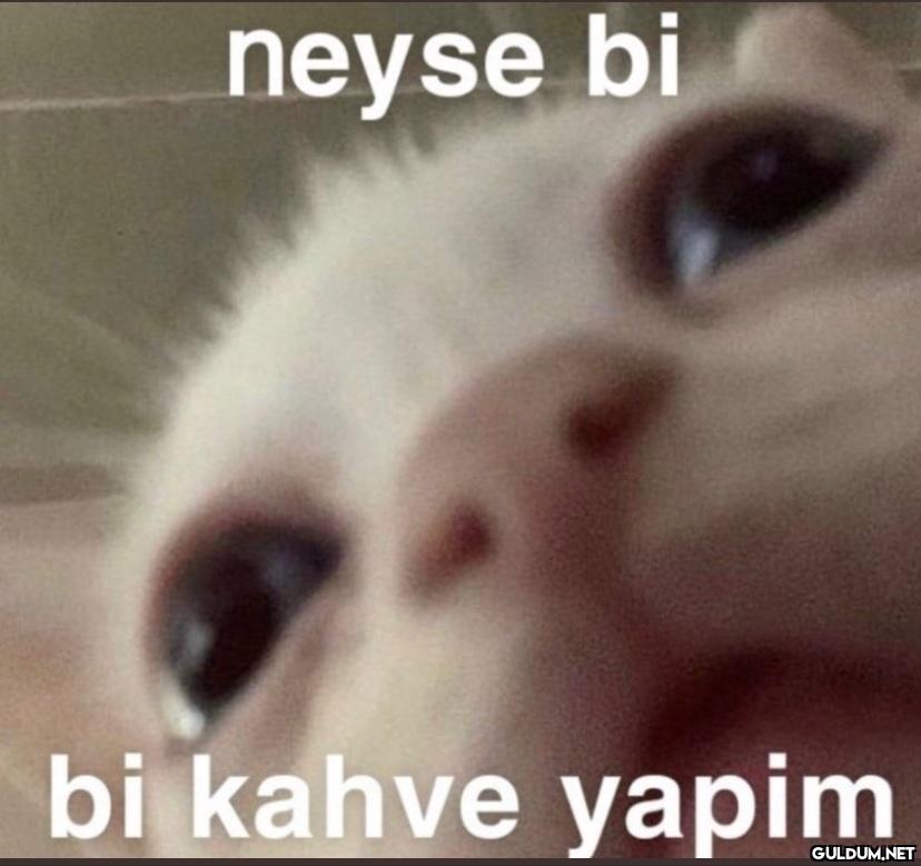Günaydın sabit 7:30 postu...