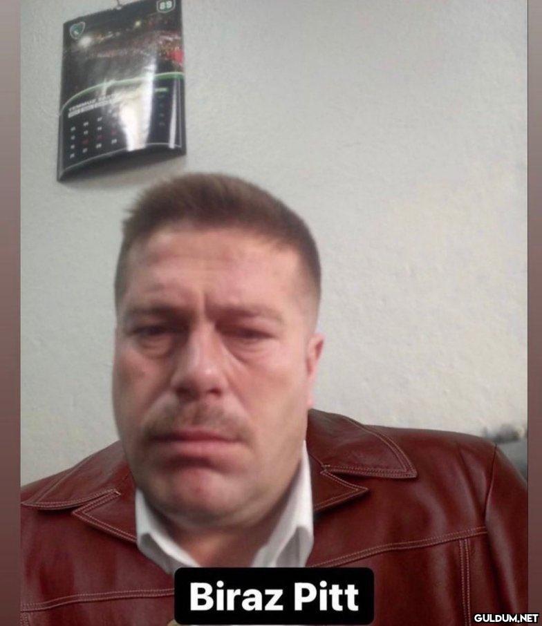 69 Biraz Pitt   Kaynak