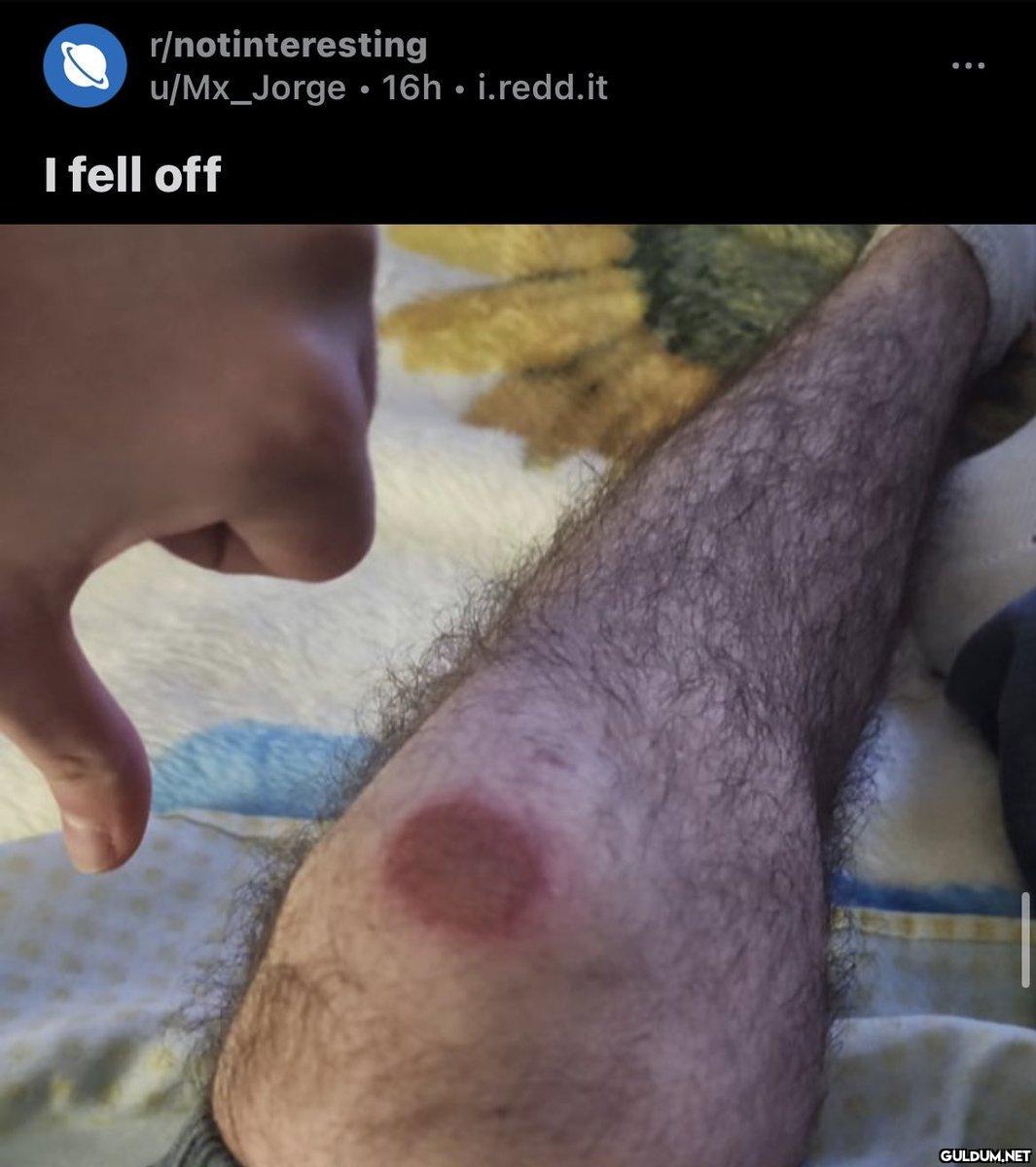 r/notinteresting...