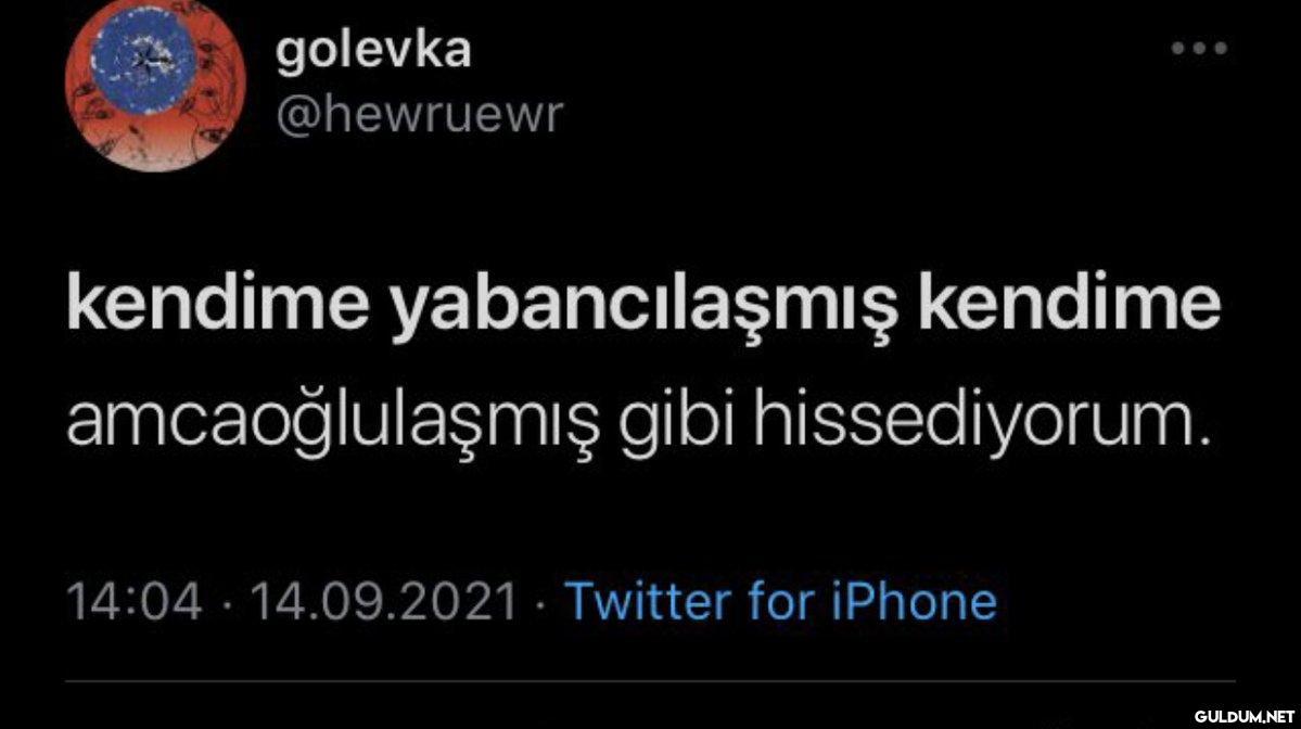 golevka @hewruewr kendime...