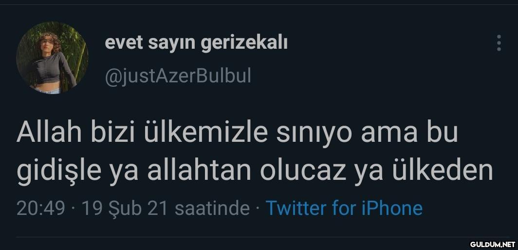 evet sayın gerizekalı...