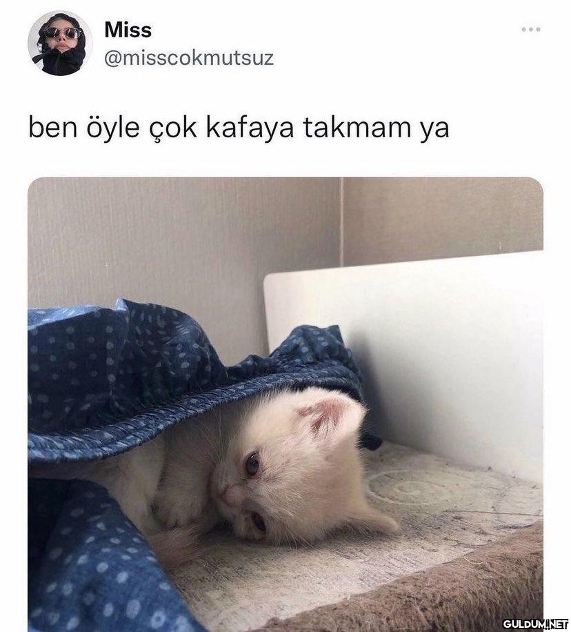 Miss @misscokmutsuz ben...