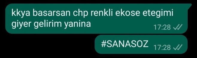 kkya basarsan chp renkli...