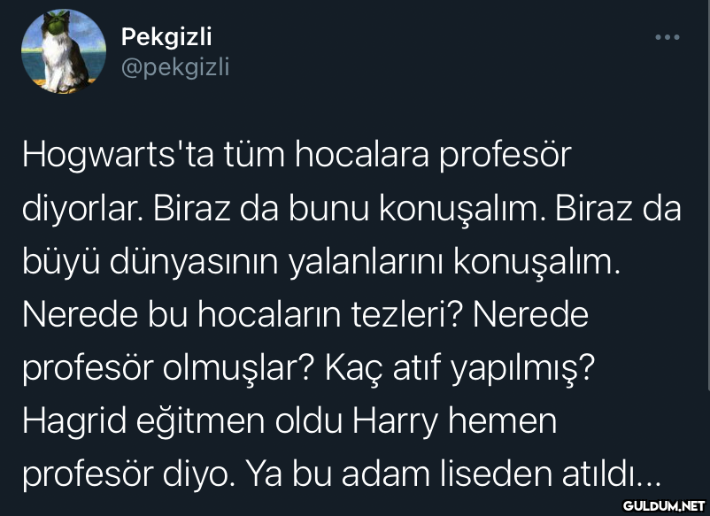 Pekgizli @pekgizli...