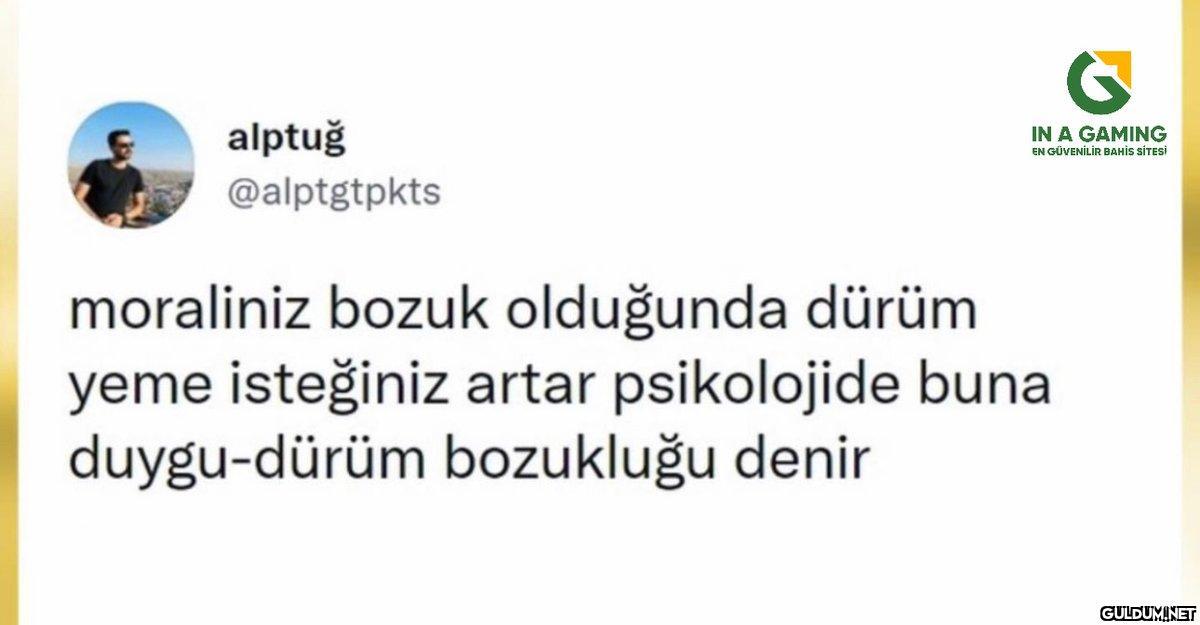 alptuğ @alptgtpkts IN A...