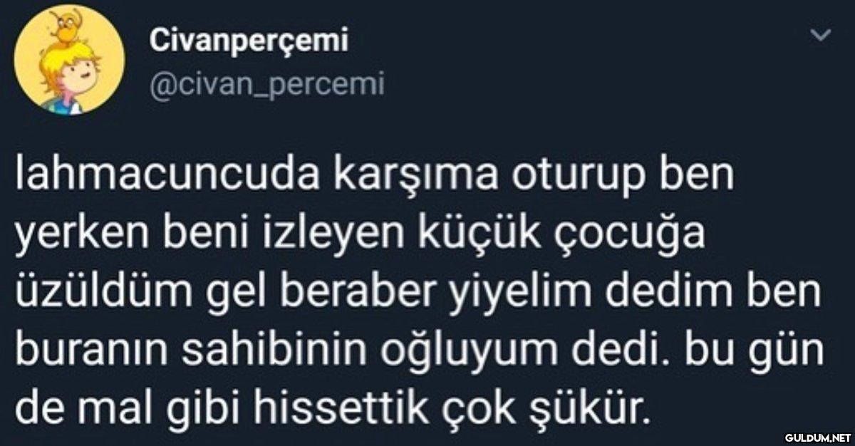 Civanperçemi...