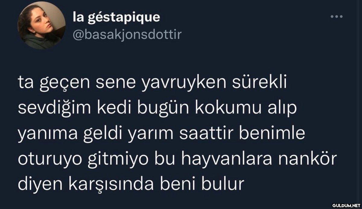 la géstapique...
