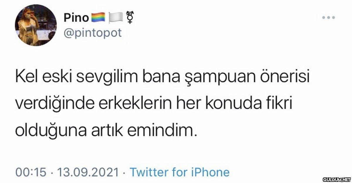Pino @pintopot Kel eski...
