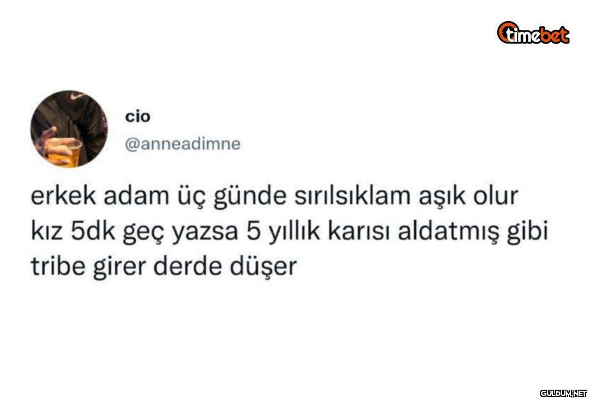 cio @anneadimne timebet...