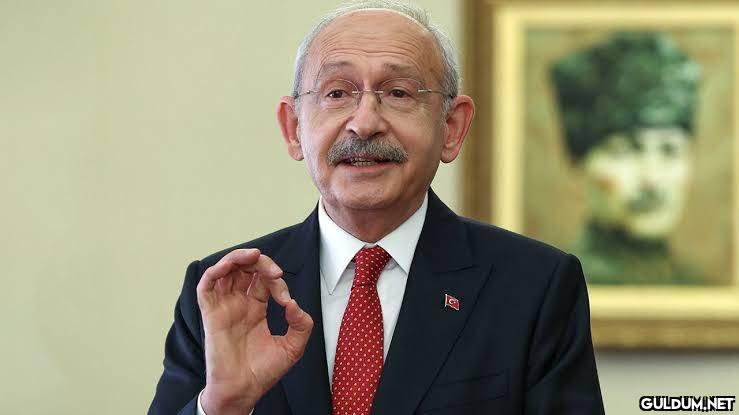 Devlet Bahçeli'nin oy...