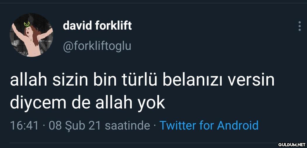 david forklift...